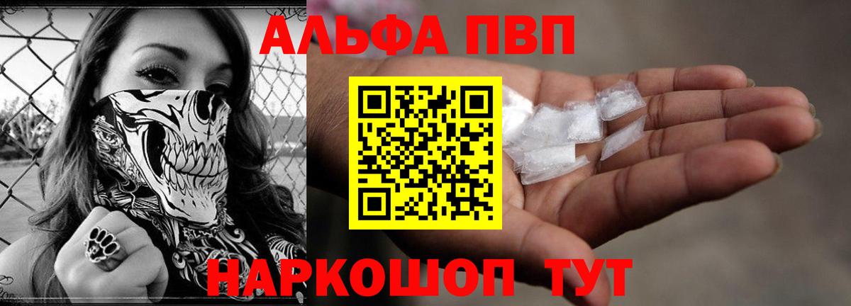 A PVP СК КРИС Горно-Алтайск