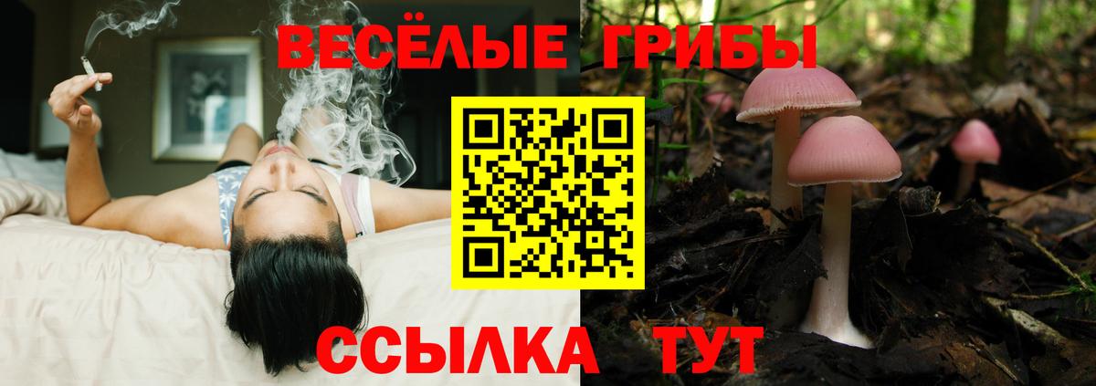 Галлюциногенные грибы Magic Shrooms Горно-Алтайск